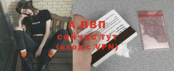 спиды Дмитров