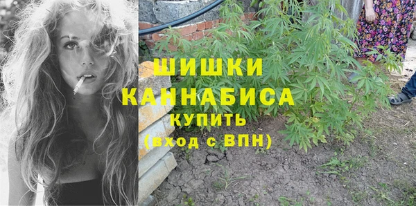 бошки Гусев
