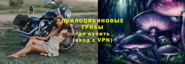 бошки Гусев